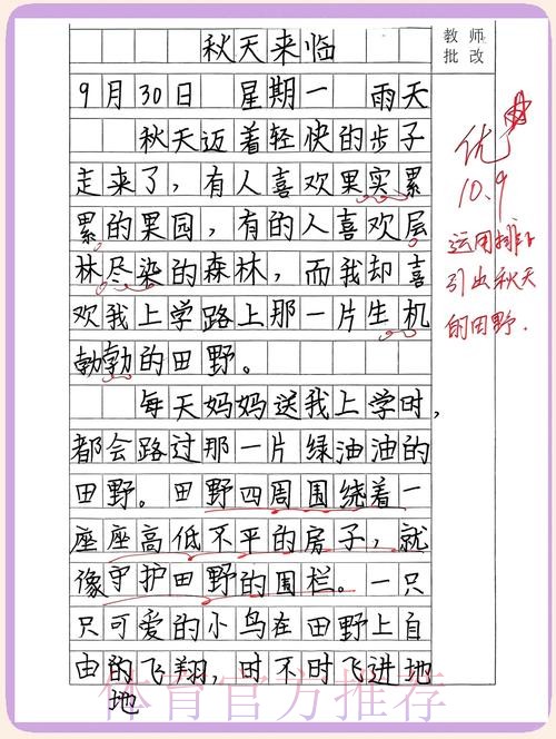 非常道！15岁超新星书写秋天的童话